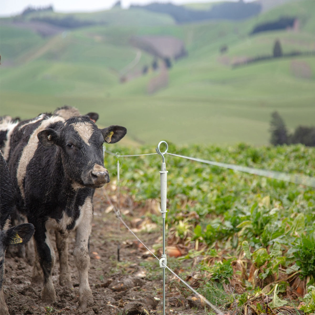 Poste Punta De Anillo Energizada Cerco Gallagher 850mm 10 Un