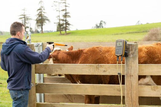 MONITOR DE PESAJE W-1