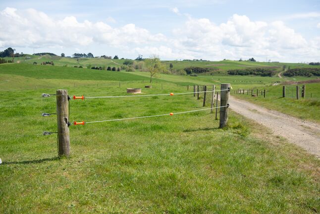 KIT PUERTA BUNGY 3.5 - 7M