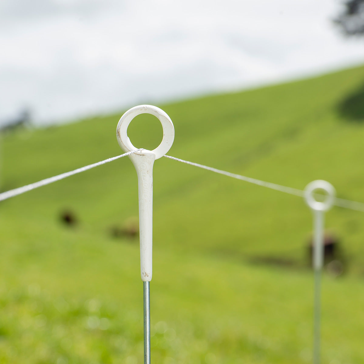 ESTACA CON PUNTA DE ANILLO PARA CERCO ELÉCTRICO PORTÁTIL