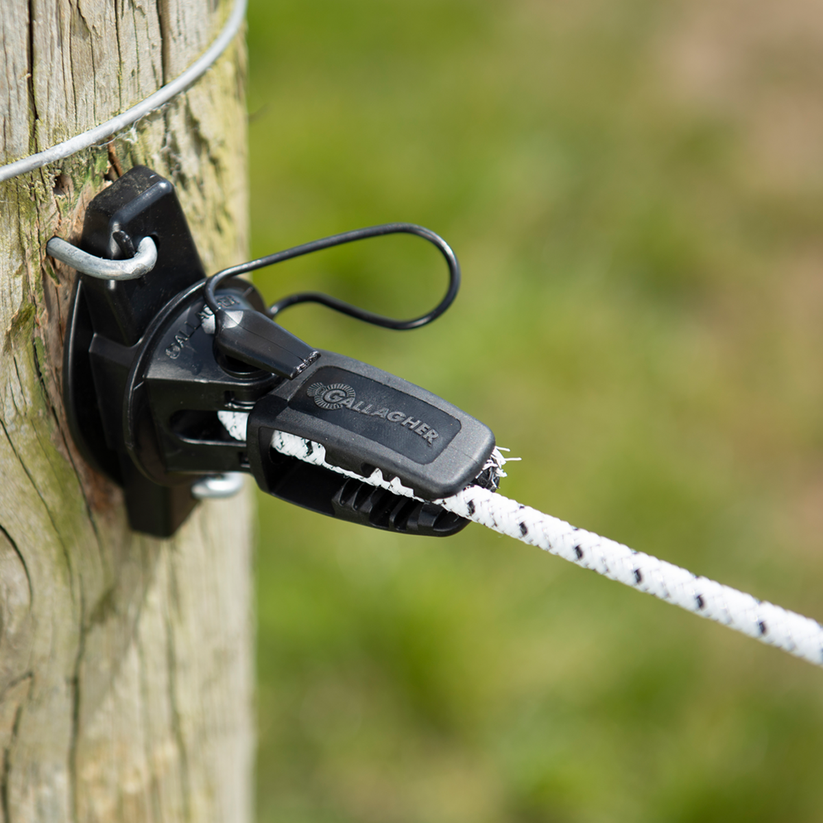 Electric Bungy Cord - 50m