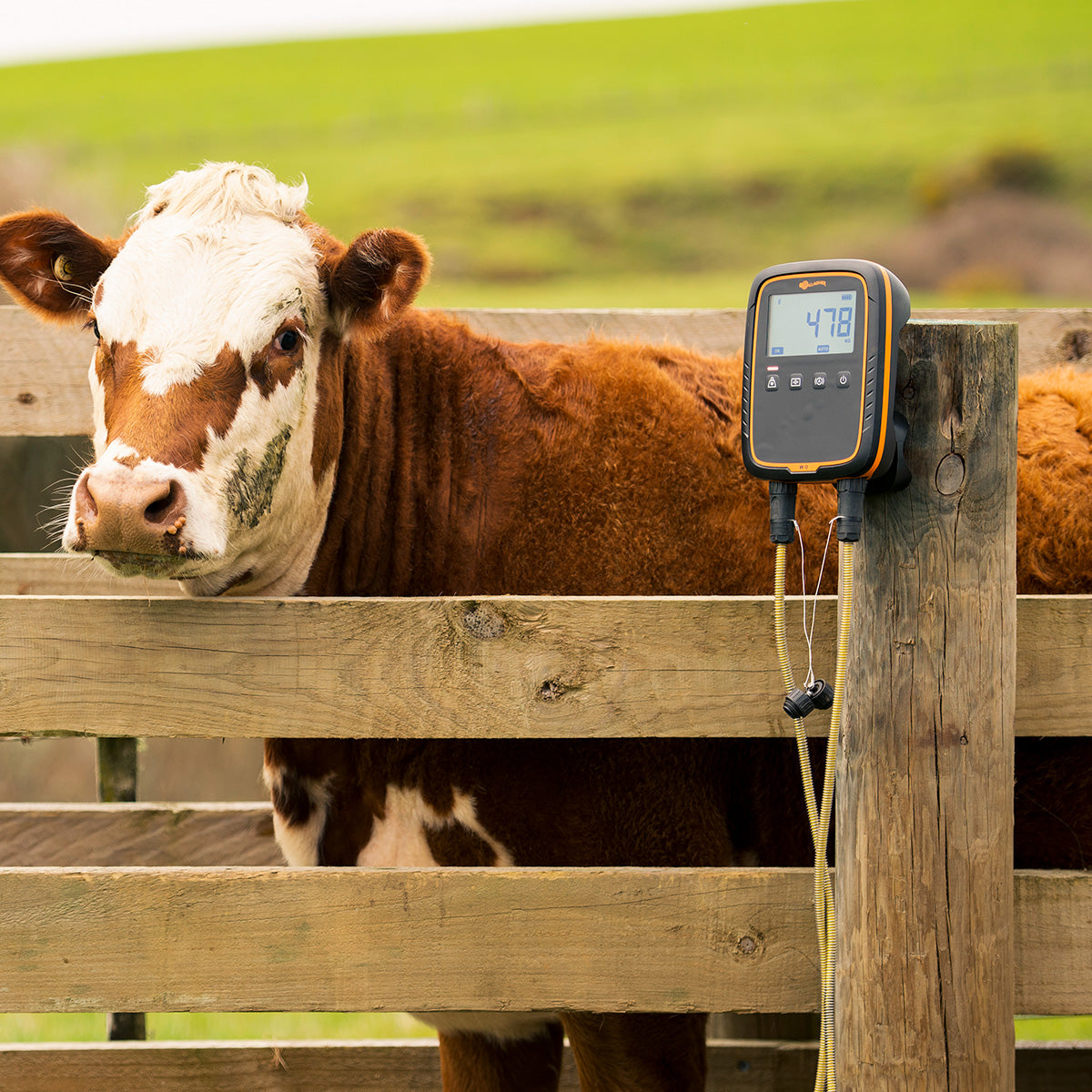 Monitor de Pesaje W-0 Gallagher