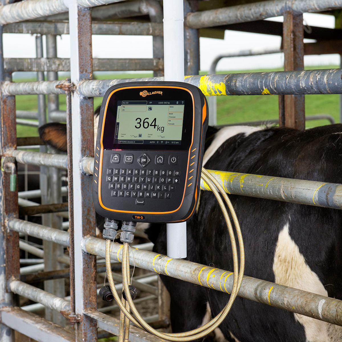 Monitor de Pesaje TW3 Gallagher
