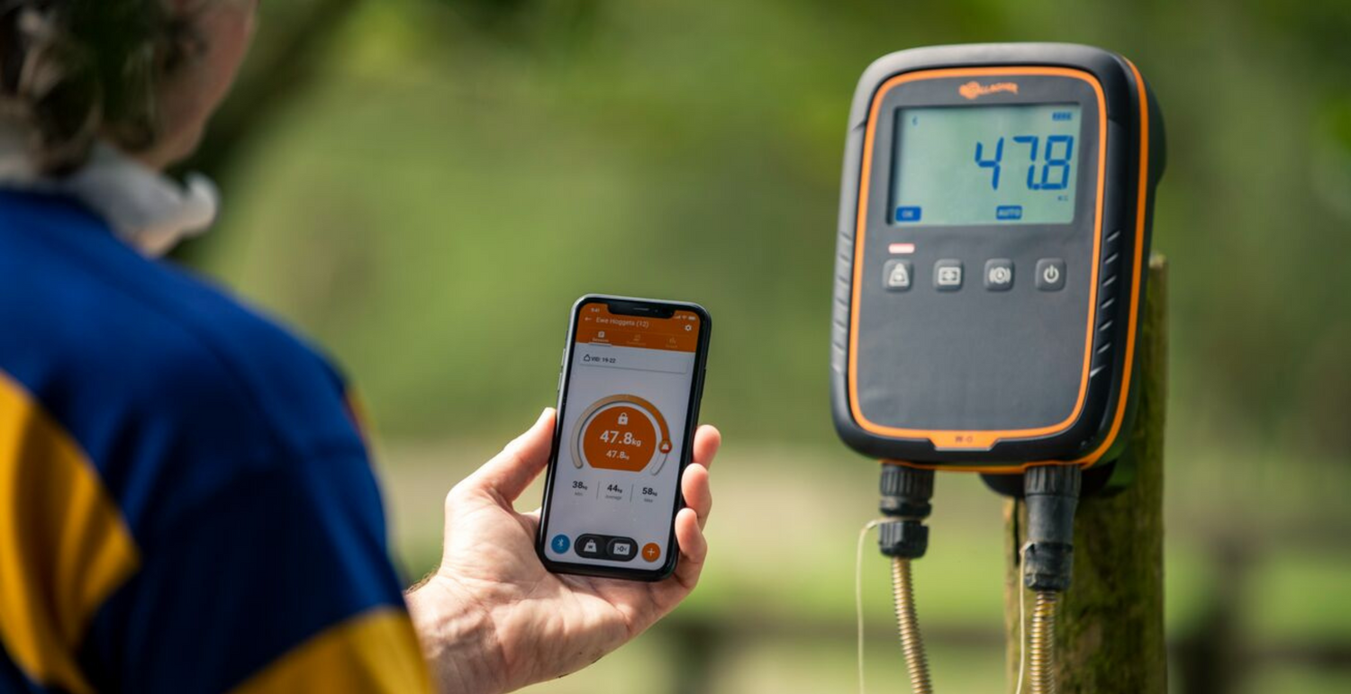 Sistemas de pesaje e IDE