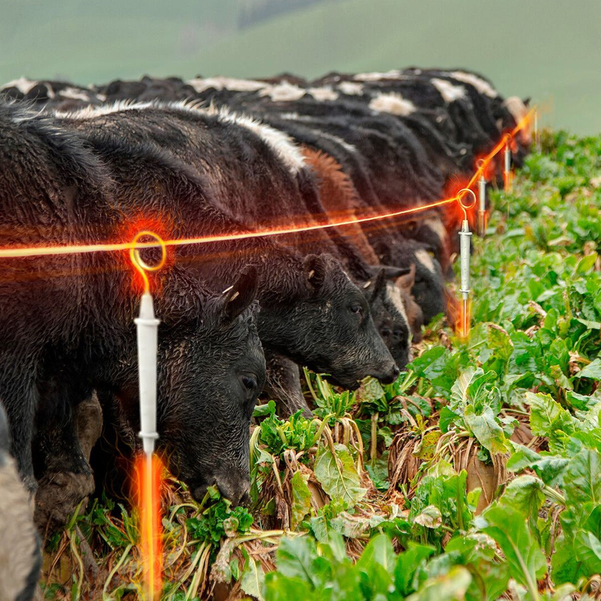 Poste Punta De Anillo Energizada Cerco Gallagher 850mm 10 Un