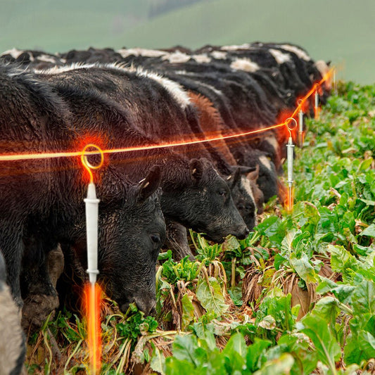 Poste Punta De Anillo Energizada Cerco Gallagher 850mm 10 Un