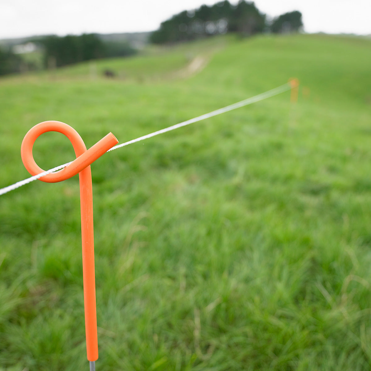 ESTACA COLA DE CHANCHO 850 X 7MM 10UN