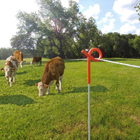 ESTACA COLA DE CHANCHO 850 X 7MM 10UN