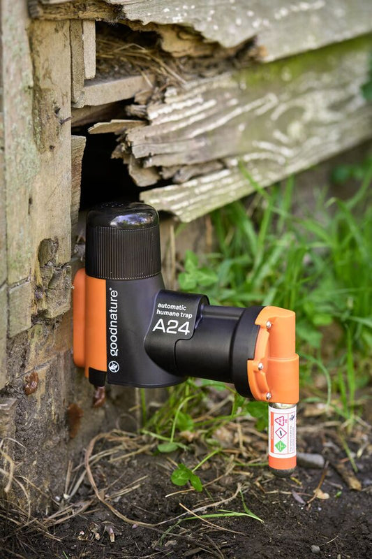 SOPORTE DE INSTALACIÓN PARA TRAMPA DE ROEDORES AUTOMÁTICA A24 PARA ÁRBOL