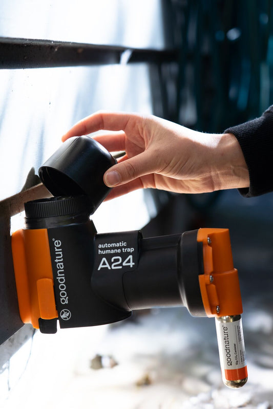 CANASTILLO PARA CEBO DE TRAMPA PARA ROEDORES AUTOMÁTICA A24