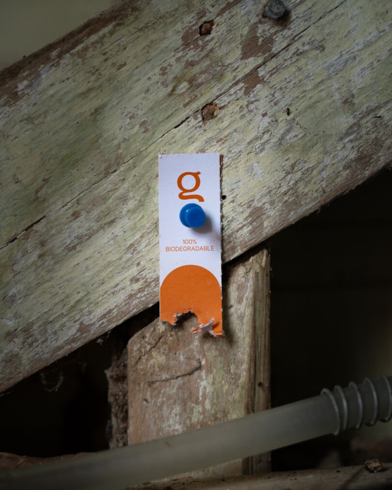 TRAMPA ROEDORES A24 KIT PRO