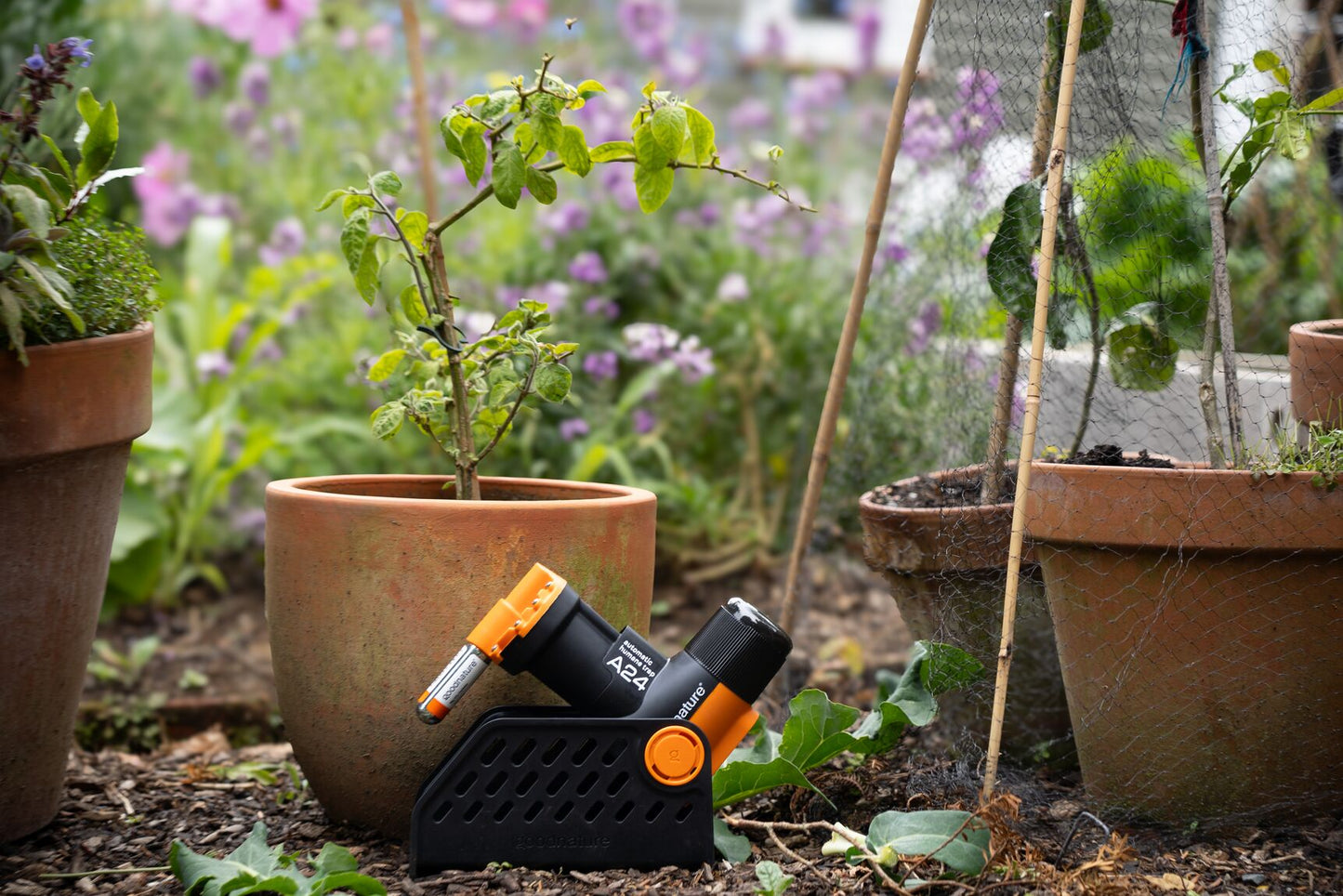 TRAMPA ROEDORES A24 KIT PRO