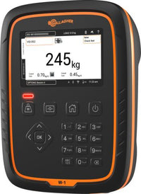 MONITOR DE PESAJE W-1