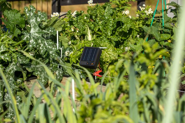 ENERGIZADOR SOLAR S6 LITIO - 0,08J/0,3Ha/0,6Km