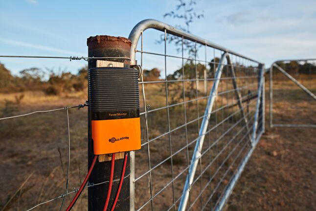 MONITOR CERCO SERIE i