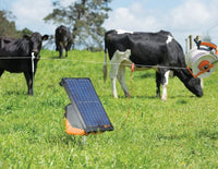 ENERGIZADOR SOLAR S200 - 2J/8Ha/20Km