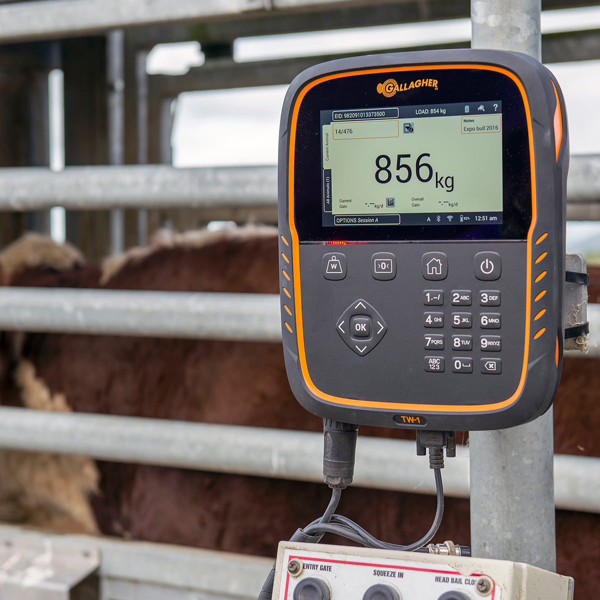 Monitor de Pesaje TW1 Gallagher