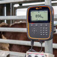 Monitor de Pesaje TW1 Gallagher