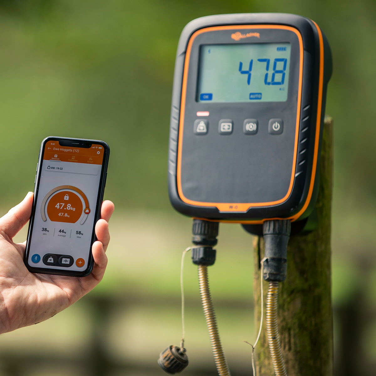 Monitor de Pesaje W-0 Gallagher