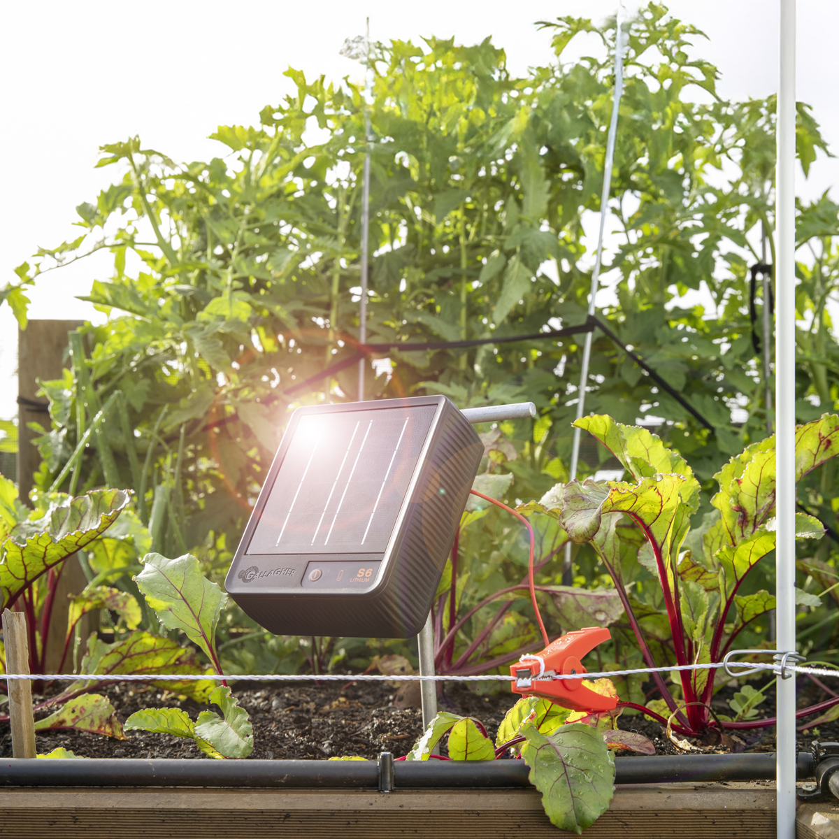 Kit cerco eléctrico para mascotas y jardin